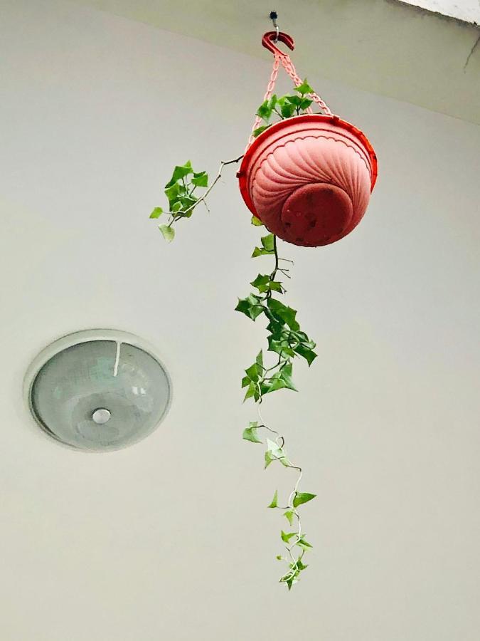 Wakawaka Hostel Аруша Екстериор снимка